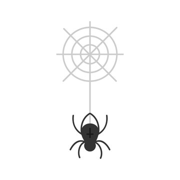 Cute hand drawn spider vector illustration. Halloween spooky black spider with spider's web, isolated.