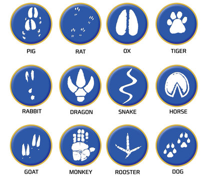 Chinese zodiac signs icons set on blue round background.  Paw prints marks , footprints of rat, mouse, snake, dragon, pig, rooster, rabbit, horse, monkey, dog, tiger, ox, bull. Illustration
