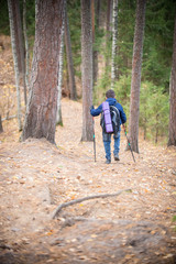 Obraz premium Little boy with hikers backpack travelling in forest. Backview