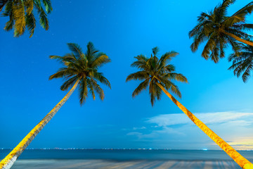 Inclined coconut trees leaning toward the tropical beach on a summer night, below are a beautiful mooring boats © huythoai