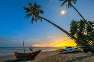Fototapeta na wymiar Bright moonlight on the beautiful beach with coconut trees tilted and the boat of the fisherman in Vietnam fishing village