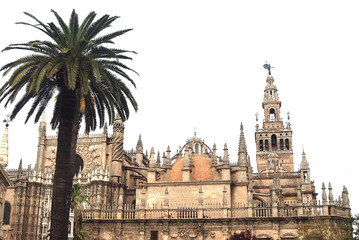 Fototapeta premium LA GIRALDA EN LA CATEDRAL DE SEVILLA. ANDALUCÍA, ESPAÑA