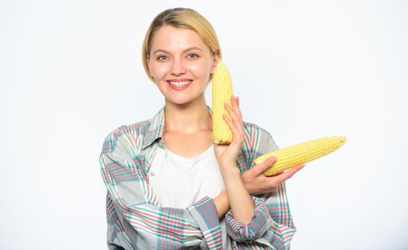 Girl rustic style hold ripe corn in hand. Food vegetarian and healthy organic products. Agriculture and fall crops concept. Fall harvest concept. Woman farmer hold yellow corn cob on white background