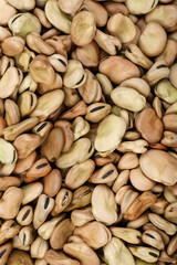 Dried broad beans as a background