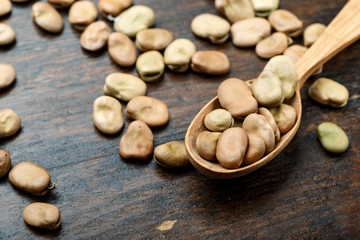Dried broad beans in a spoon