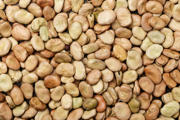 a lot of dried broad beans