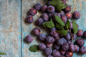 Plum on blue wooden background.