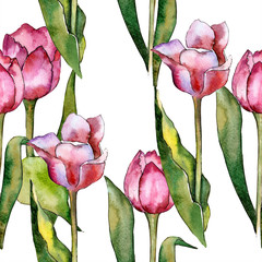 Fototapeta premium Watercolor pink tulip flower. Floral botanical flower. Seamless background pattern. Fabric wallpaper print texture. Aquarelle wildflower for background, texture, wrapper pattern, frame or border.