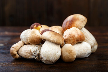 uncooked boletus mushrooms