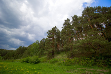 Fototapeta na wymiar forest landscape with blue rainy clouds