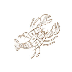 Cancer of the river. Solid color pattern. Sketch. before.