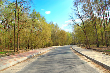 Fototapeta premium Asphalted road with pavement in spring park