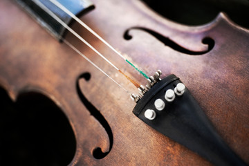 Close up of a violin with a broken string © Redzen