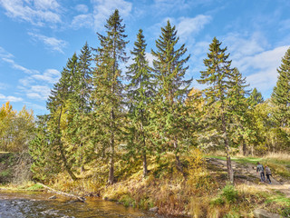 on the river bank. autumn