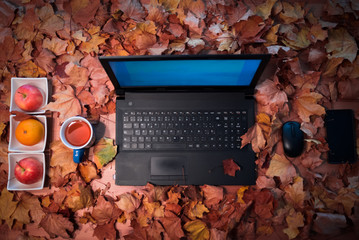 desayyuno y trabajo en otoño con hoja caduca