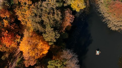 drone flight over autumn forest