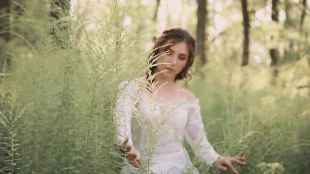 mysterious fairy with dark wavy hair and natural make-up in a white luxurious light vintage dress with a mesh and floral patterns goes slowly in amazing forest alone, moving the high grass in her way
