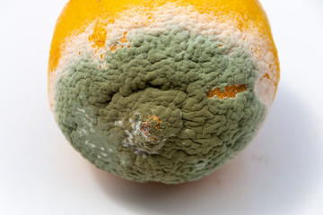 A Rotting Lemon
