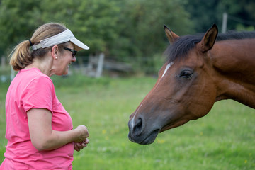 Besitzerin spricht mit ihrem Pferd