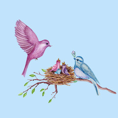 Two birds with a nest on the tree branch. Hand-drawn watercolor illustration.
