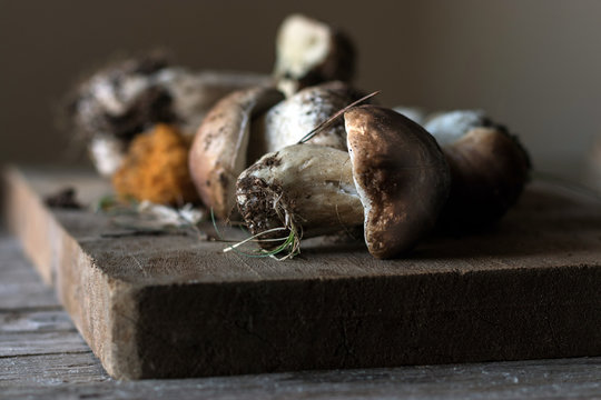 Heap of boletus edulis mushrooms on board