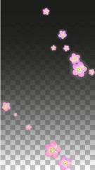 Vector Realistic Pink Flowers Falling on Transparent Background.  Spring Romantic Flowers Illustration. Flying Petals. Sakura Spa Design. Blossom Confetti. Design Elements for Wedding Decoration.