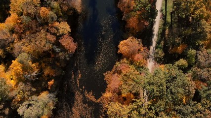 drone flight over autumn forest