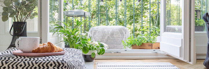 Urban jungle concept kitchen with balcony full of green plant and pouf, real photo, panoramic view