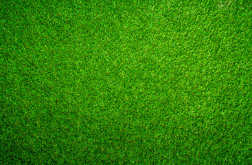 Obraz na płótnie Canvas Green grass background