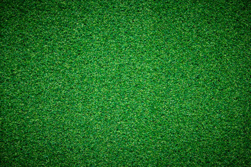 Fototapeta premium Green grass background