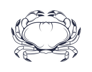 Vector Illustration of the Crab.