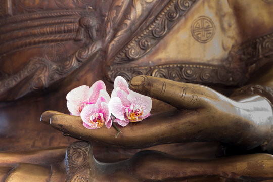 Hand of buddha statue with orchids