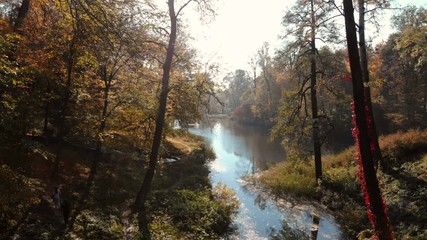 drone shot between trees in park with lake view
