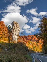 Limestone rock formation called Bludgeon of Hercules, Pieskowa Skala, Poland