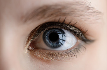 Blue iris eye. Macro shot.