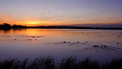 Fototapeta na wymiar Dramatischer Sonnenuntergang an einem See in Schleswig-Holstein, Deutschland