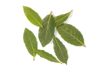 Obraz premium bay leaves