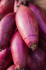 Close-up of Tropea long onions