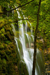 Cascada de agua y vegetación en Asturias, España, Europa