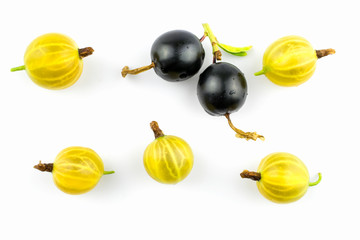 Berries of black currant, yellow goosebsrry isolated on a white background.