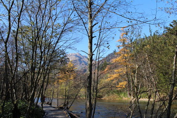 上高地の遊歩道