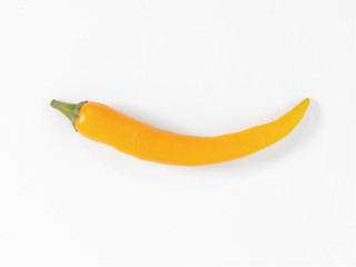 a small yellow chilli on a white background
