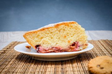 Large shot of sponge cake plum pie.
