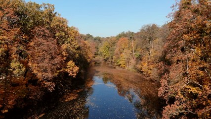 drone flight over autumn forest