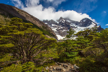 Fototapeta premium Torres del Paine, Chile - Laguna Torres, famous landmark of Patagonia, South America.