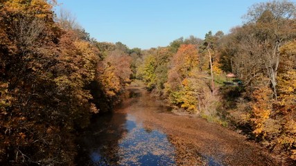 drone flight over autumn forest