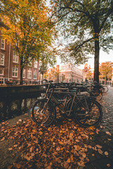 Obraz premium The fall mood