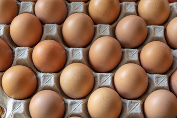 Closeup chicken eggs