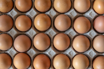 Closeup chicken eggs