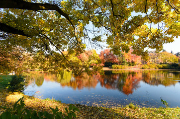 Fototapeta premium Indian Summer, Schönheit des Herbstes am See, Spätsommer, Indian Summer, wundervolle Farben im Wald, weiches, stimmungsvolles Licht :)